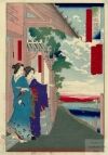 Yoshitoshi - The Daishichi restaurant at Imado - Beautiful Women and Fancy Dishes in Tokyo