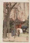 Hiroshi Yoshida - Cherry Tree in Kawagoe (Kawagoe no sakura), from the series Eight Scenes of Cherry Blossoms (Sakura hachidai)