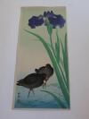 Ohara Koson - Moorhen Birds