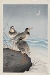 Ohara Koson - Plovers and Waves