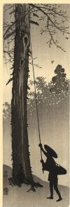 Ohara Koson - A man harvesting a nest