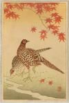 Ohara Koson - Pheasants